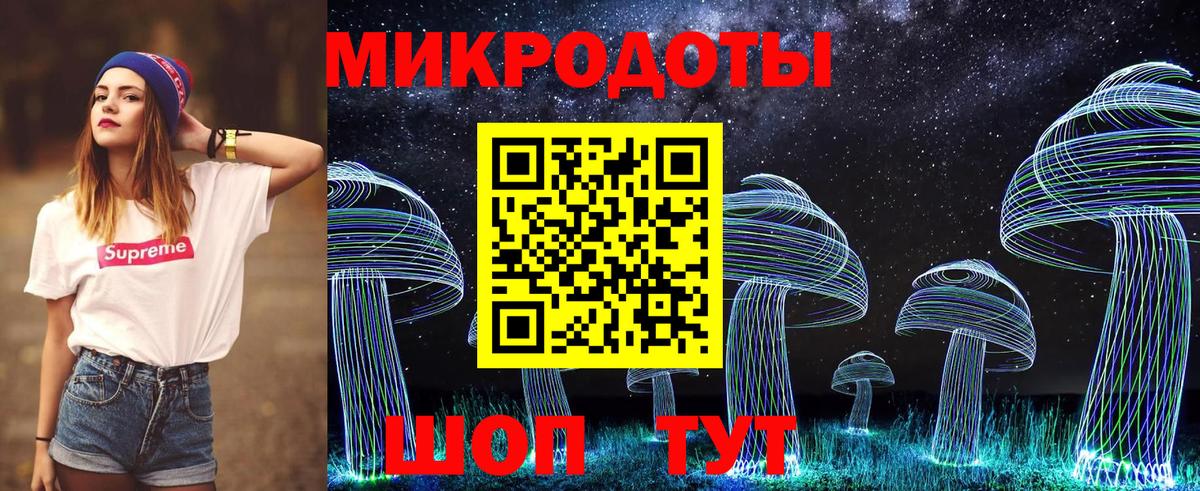 Ессентуки  Галлюциногенные грибы Psilocybe  Вход с VPN 